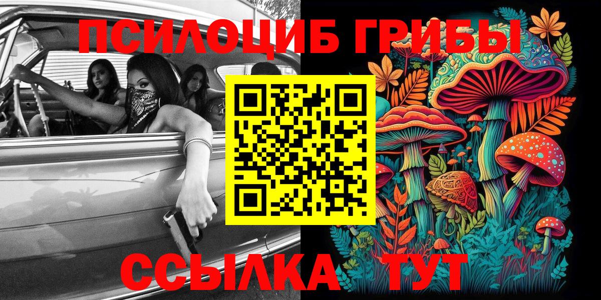 Галлюциногенные грибы Psilocybe Луга