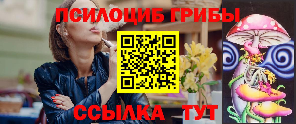 купить закладку  Галлюциногенные грибы MAGIC MUSHROOMS  Вход с VPN  Псилоцибиновые грибы мицелий  Луга 